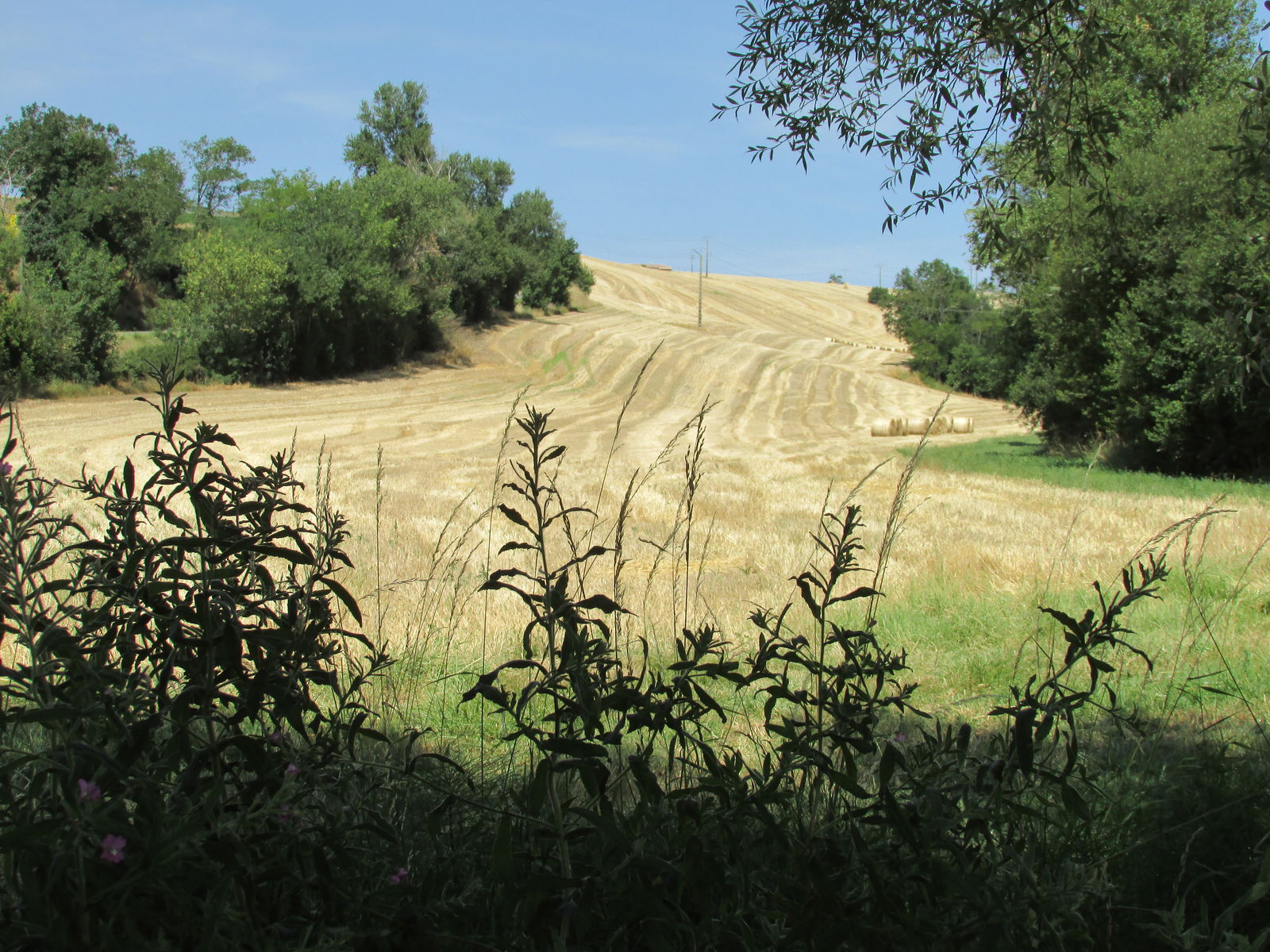 Unabhängiges Studio Lagarde 265441