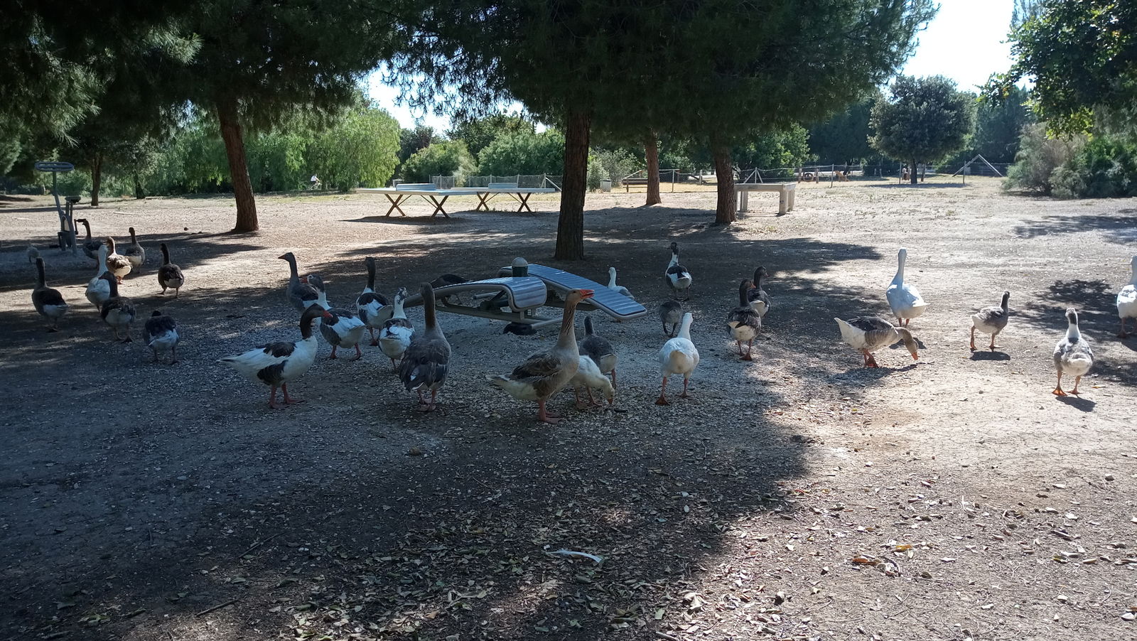 Homestay Sevilla 200116