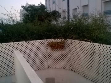 Logement Entier Mrezga 199387-9