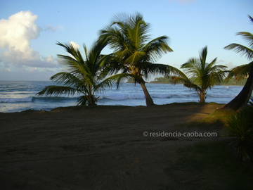 Logement Entier Las Terrenas 26787-11