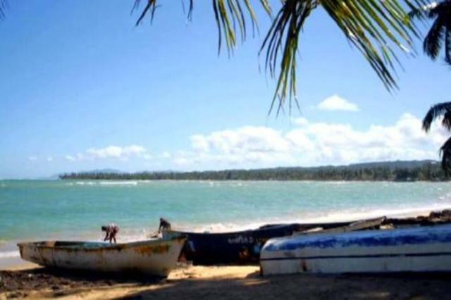 Independent Studio Las Terrenas 26787