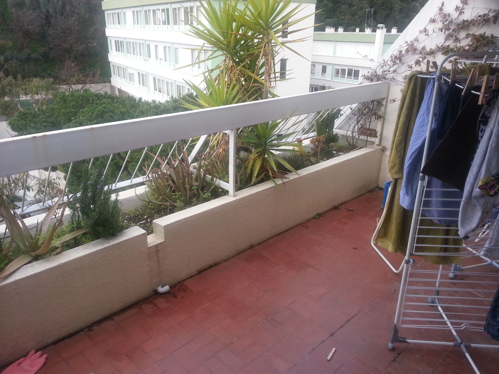 Colocation Nice 122607