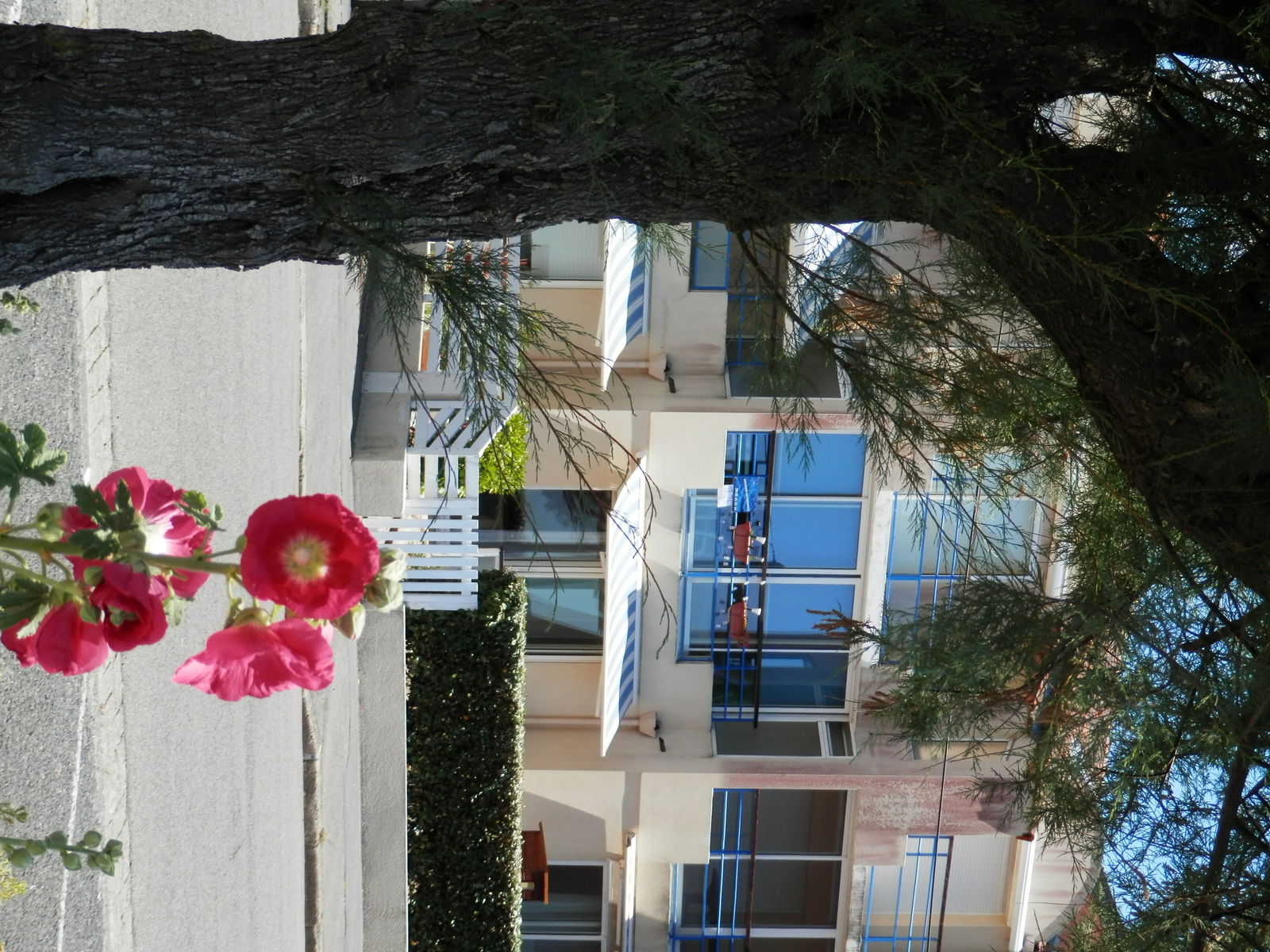 Independent Studio Saint-Brevin-les-Pins 65160