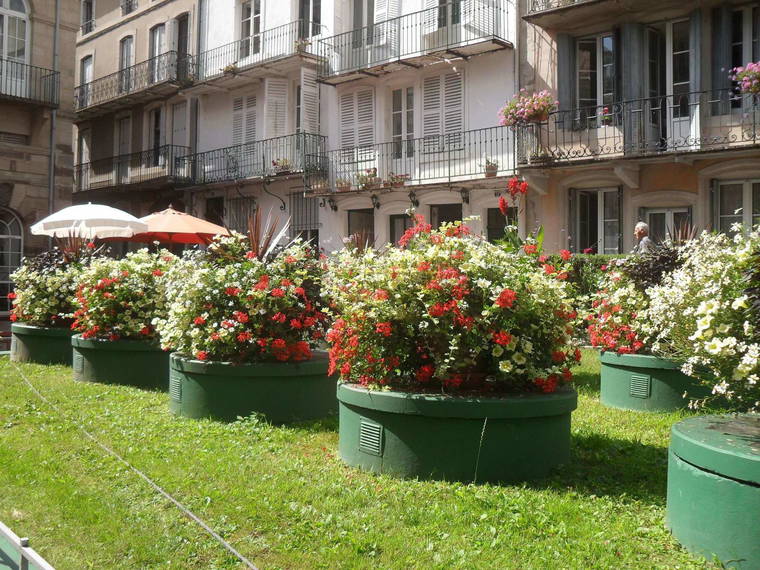 Homestay Plombières-les-Bains 64047