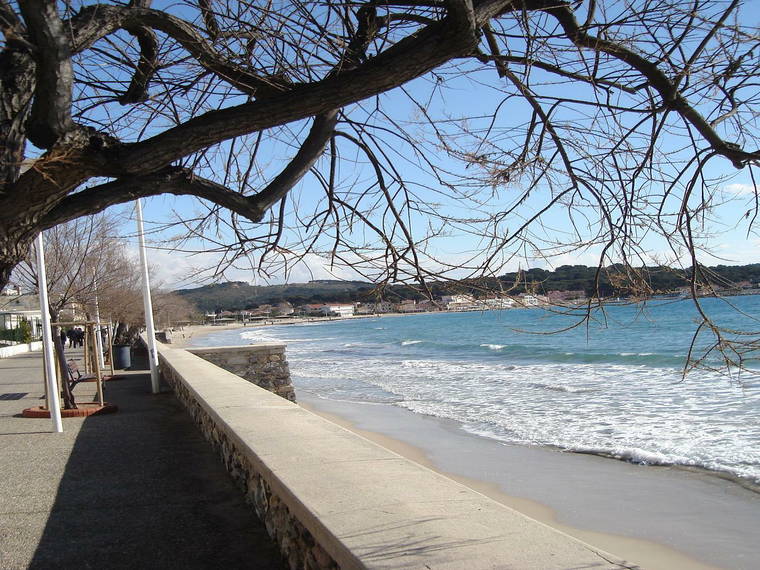 Chambre À Louer La Seyne-sur-Mer 84620