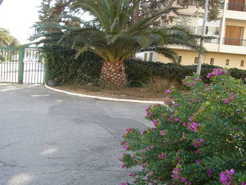 Logement Entier La Seyne-Sur-Mer 84620-6