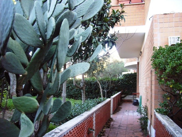 Bed And Breakfast Anzio 54724