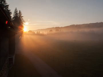 Logement Entier La Cluse-Et-Mijoux 182238-5