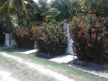 Ganzes Haus Grande-Terre 194069-9