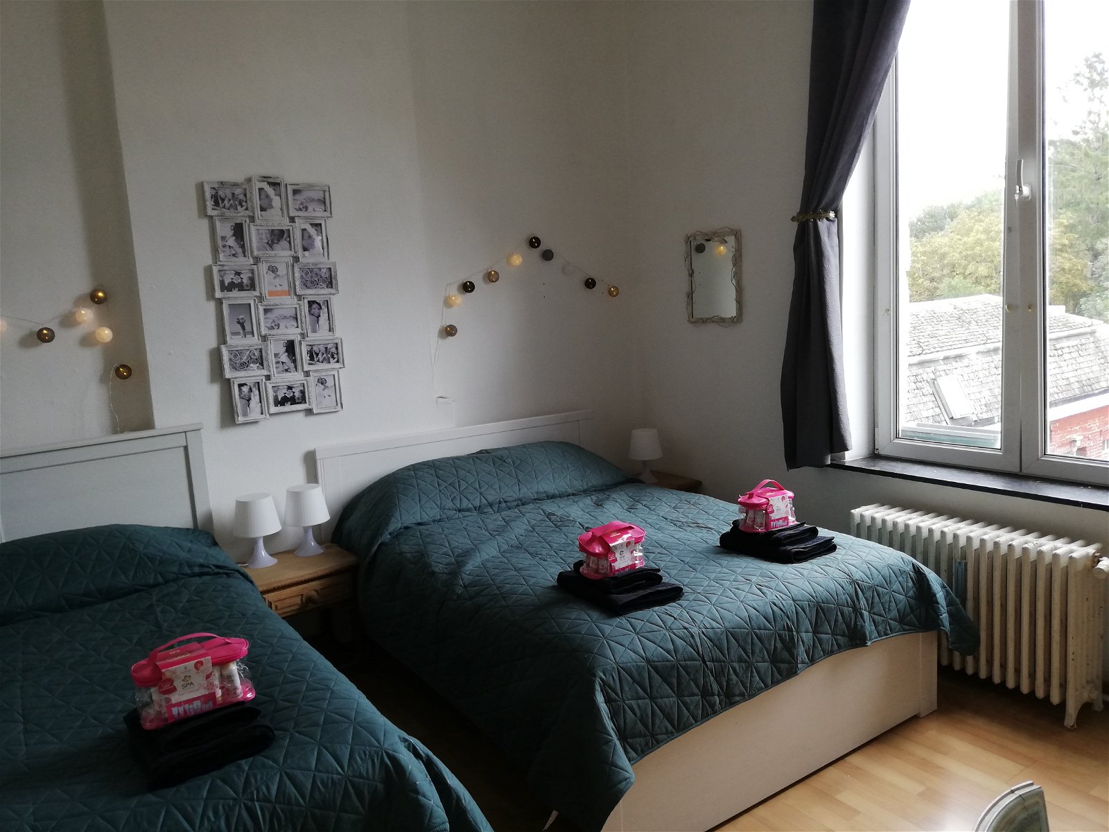 Entire Home Charleroi 227494