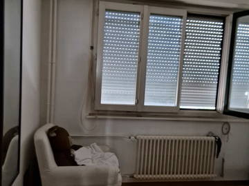 Logement Entier Petit-Lancy 266575-13