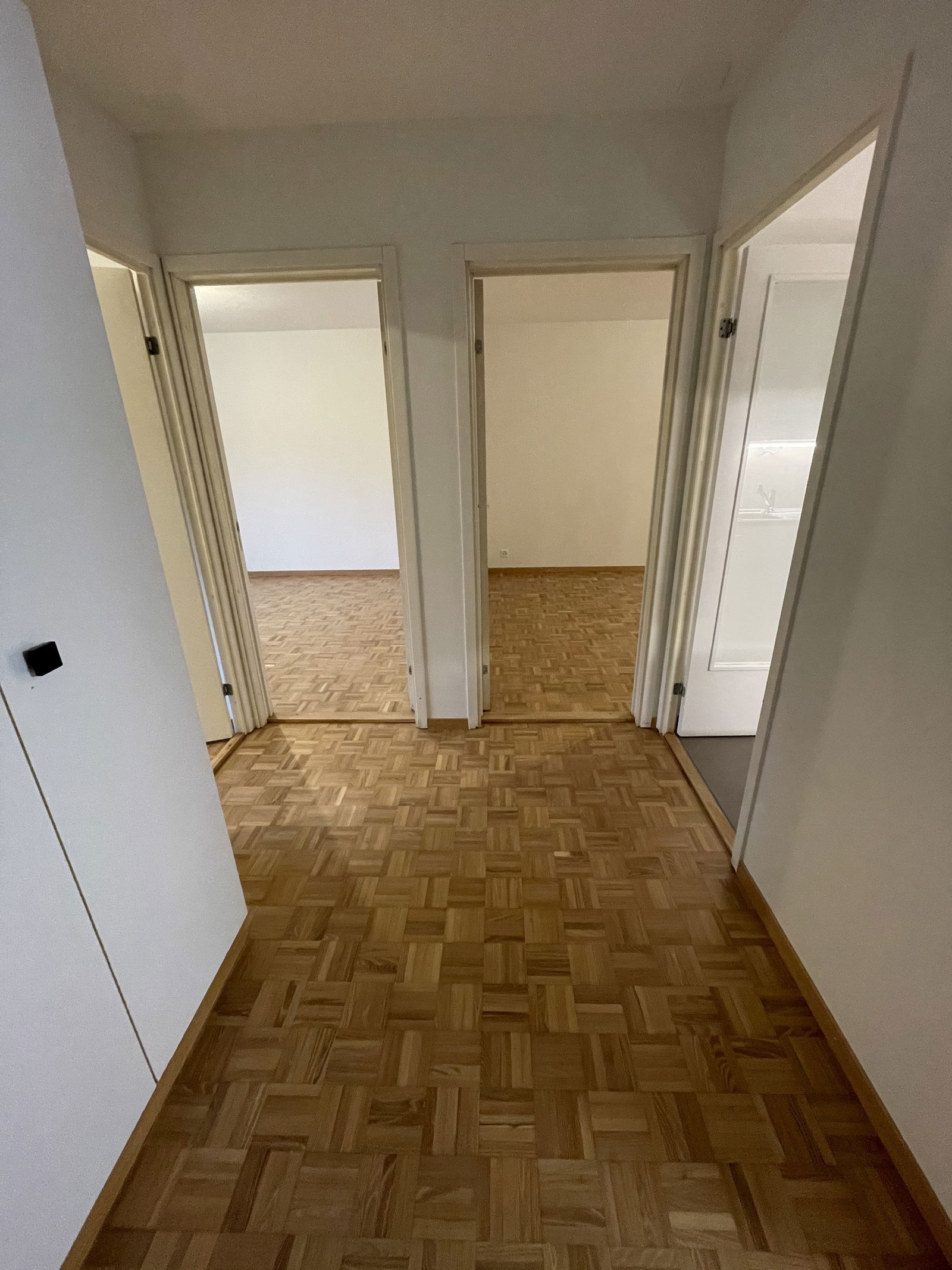 Entire Home Nyon 253392