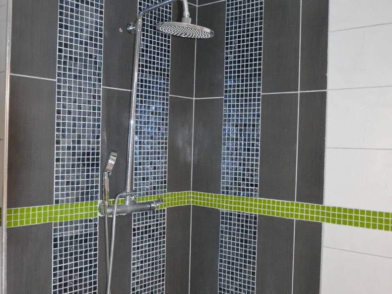 Chambre Chez L'habitant Châtenay-Malabry 230559-4