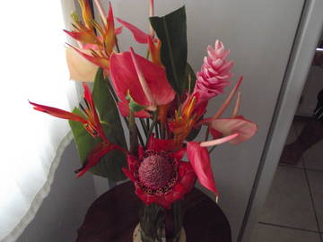 Logement Entier Bisee 17118-12