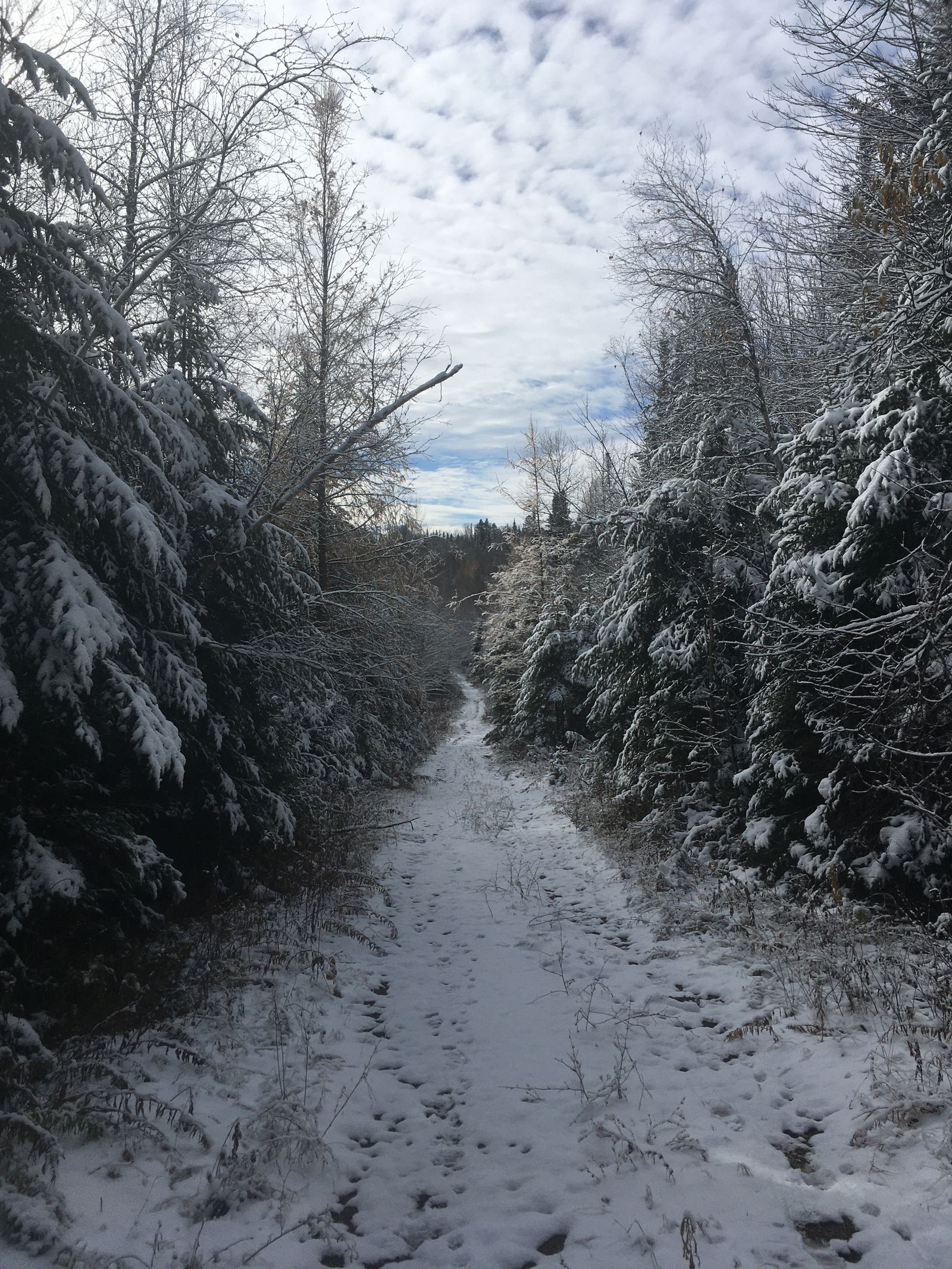 Entire Home Val-David 624582