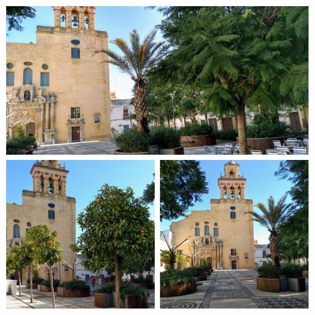 Independent Studio Córdoba 17947