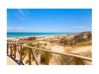 Independent Studio Torrevieja 79394