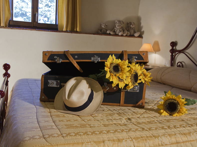 Cały Dom Pontassieve 104799-1