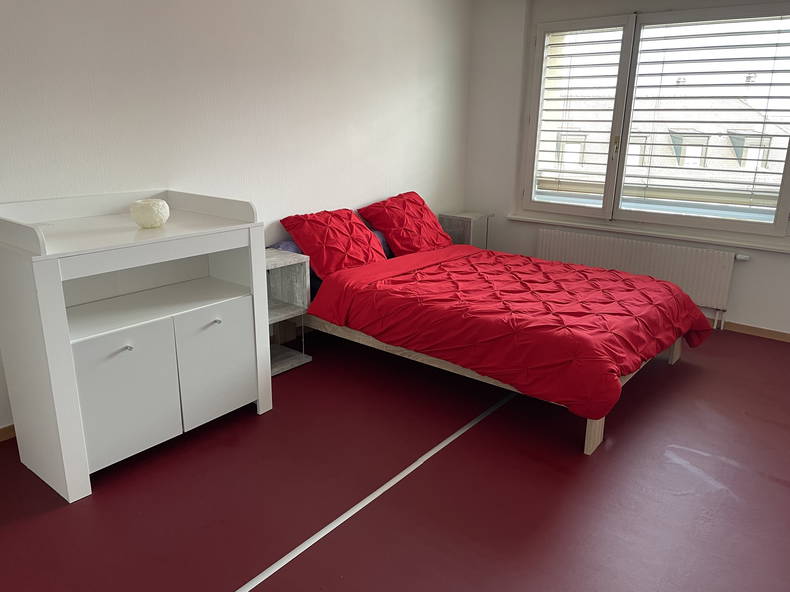 Entire Home Vevey 258892-4