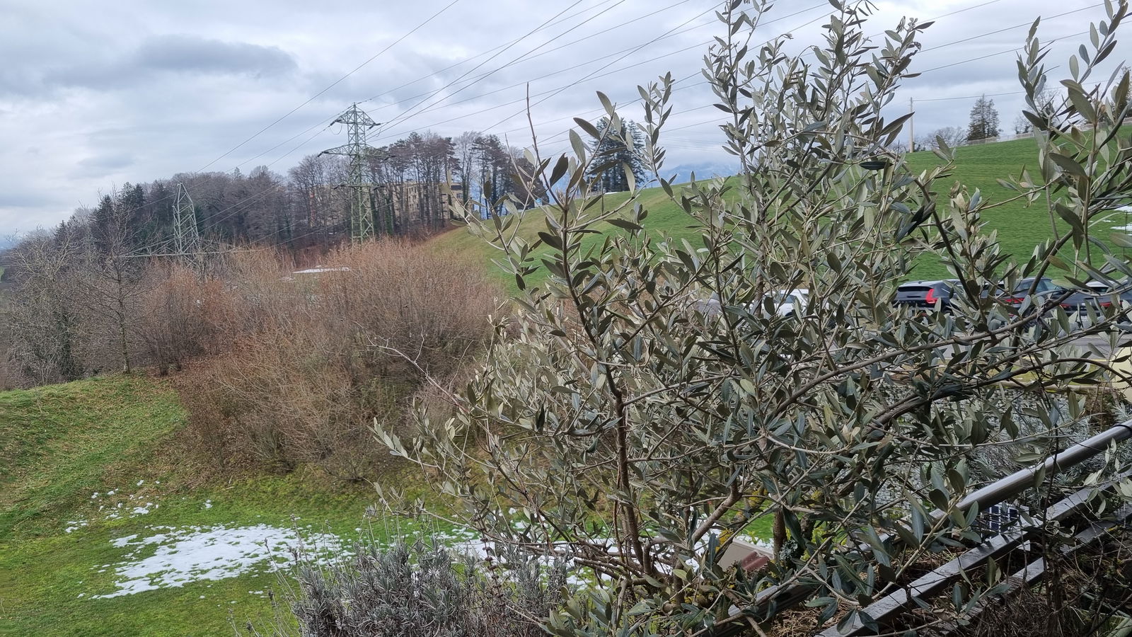 Homestay Puidoux 264427