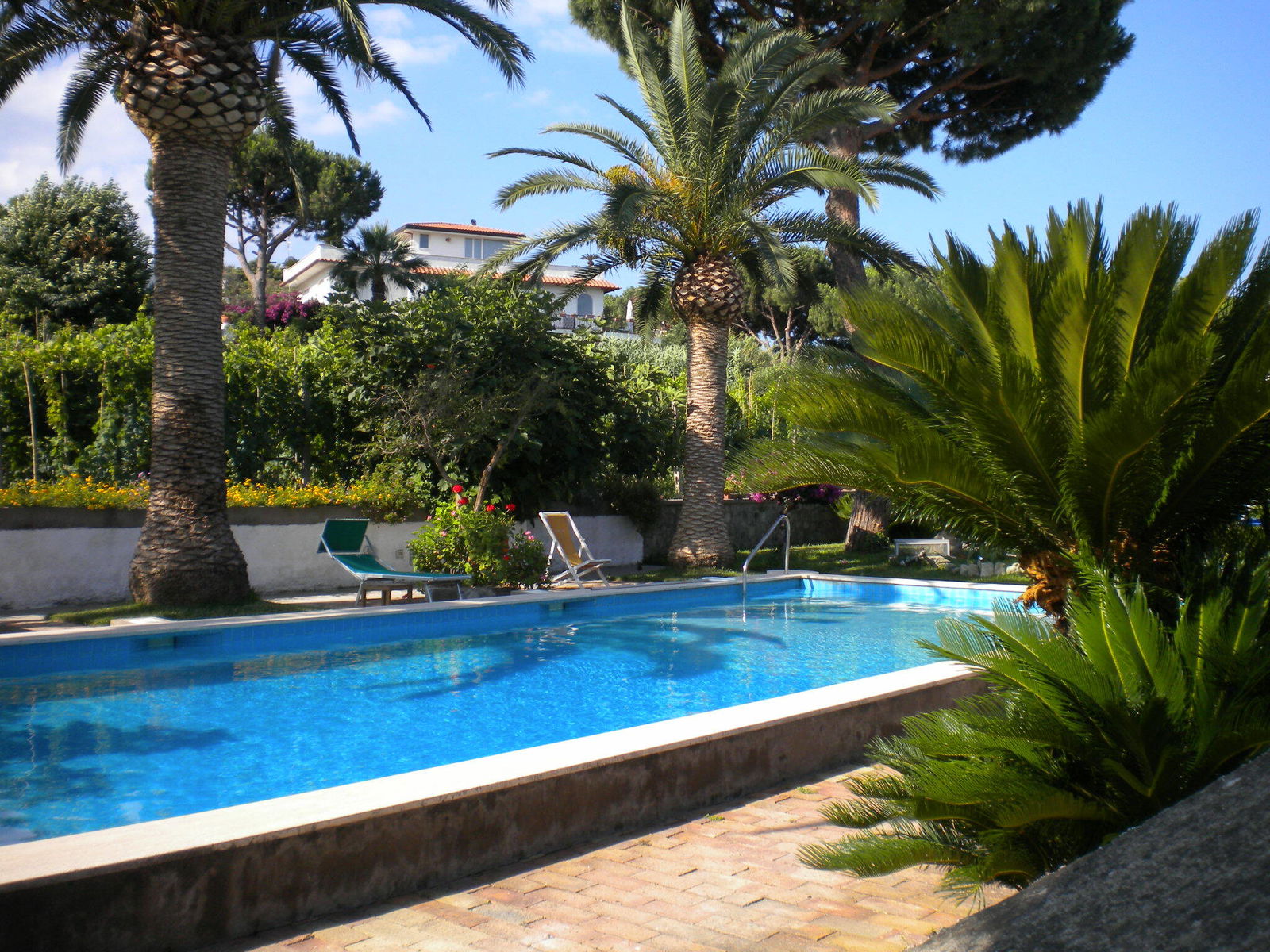 Homestay Forio 204181