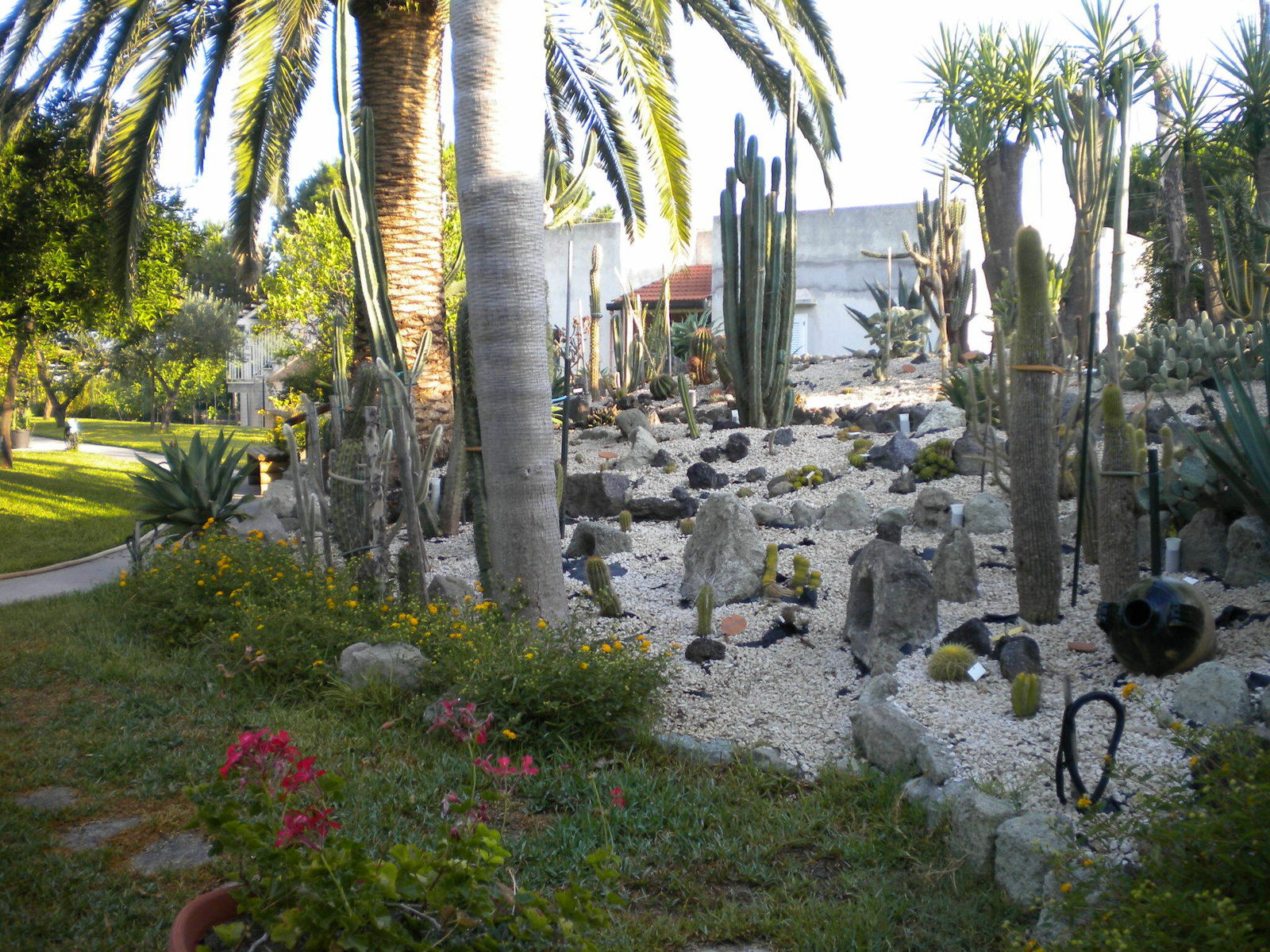 Homestay Forio 204181