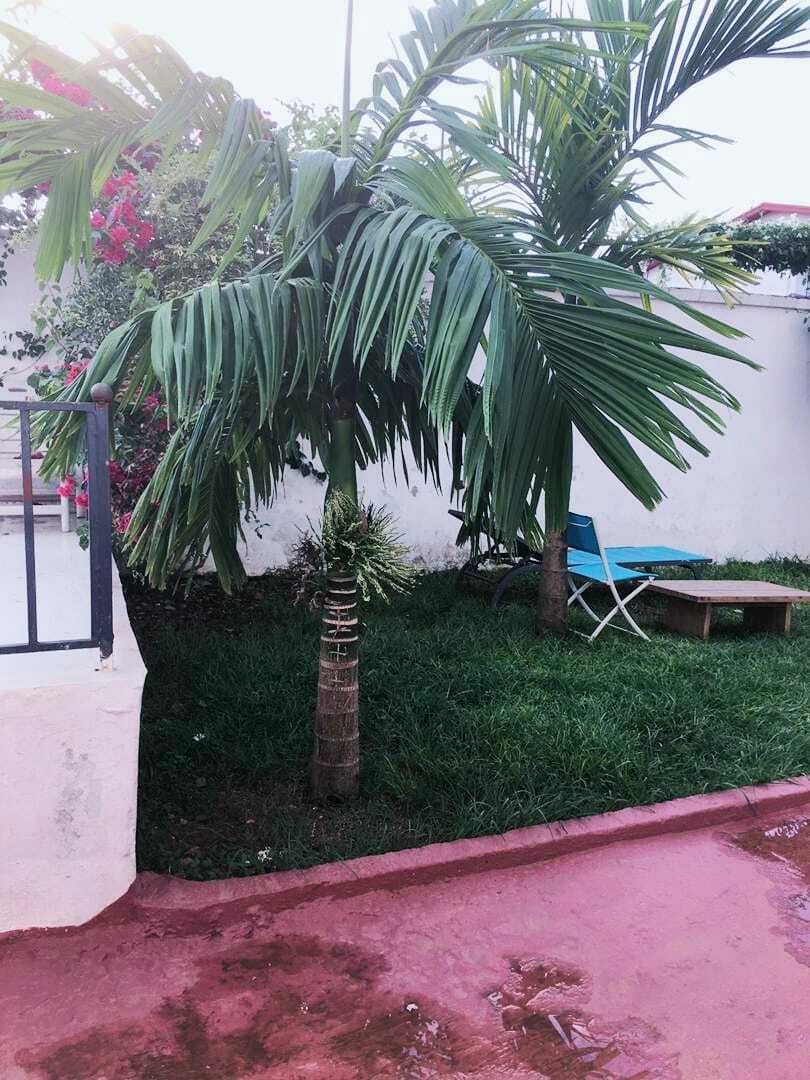 Unabhängiges Studio Yaoundé 234440