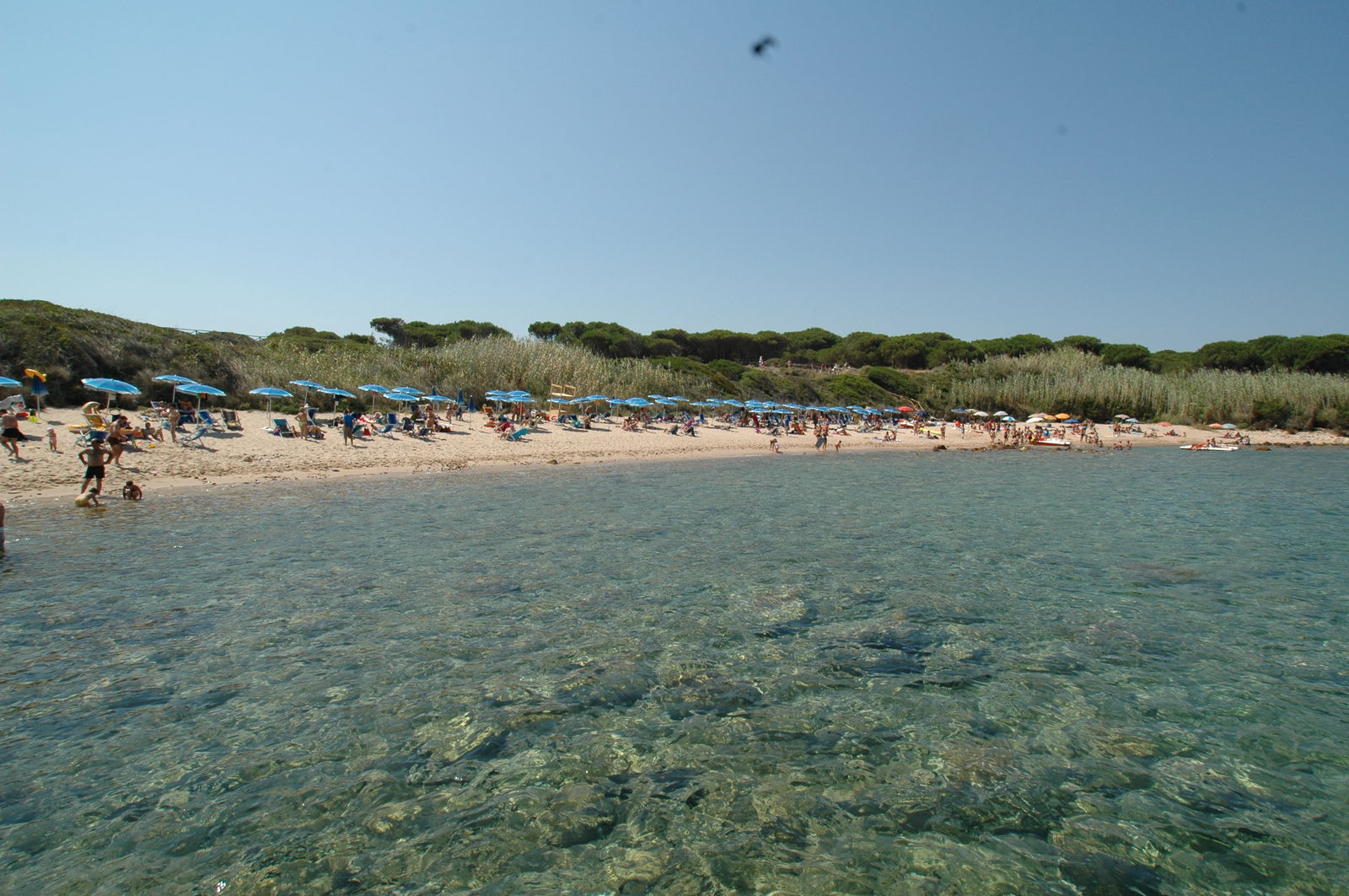 Unabhängiges Studio Isola Rossa 157528
