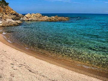 Logement Entier Zonza 218759-12