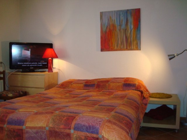 Estudio Independiente Bovec 148235