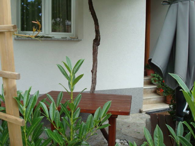 Ganzes Haus Bovec 148235-5