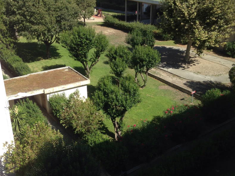 Colocation Marseille 245537-3