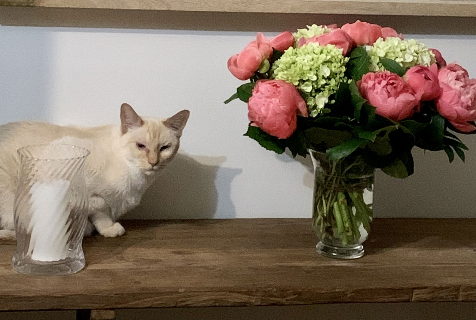 Homestay La Hulpe 44681