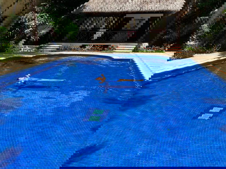 Coliving Playa del Carmen 396605-1