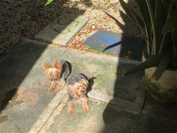 Coliving Playa Del Carmen 396605-10