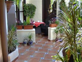 Apartamento Con Pequeña Terraza Patio En Icod De Los