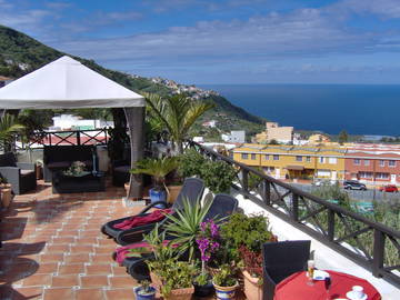 Entire Home Icod De Los Vinos 243009-10