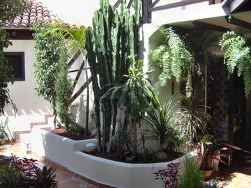 Entire Home Icod De Los Vinos 243009-11