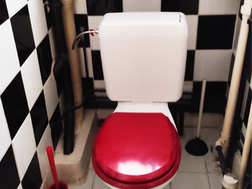 Chambre Chez L'habitant Ixelles 384133-9