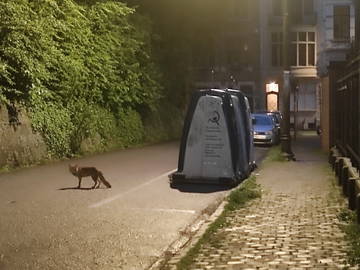 Chambre Chez L'habitant Ixelles 384133-11