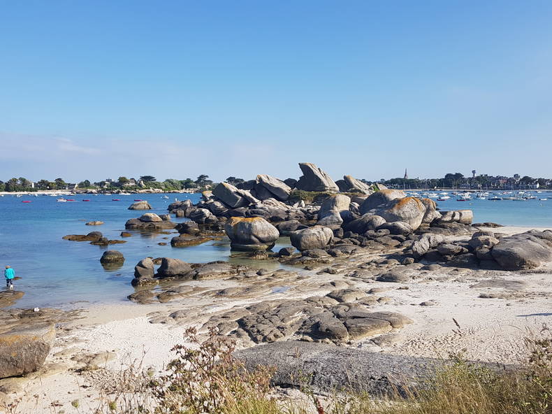 Gehele Woning Plounéour-Brignogan-plages 259432-1