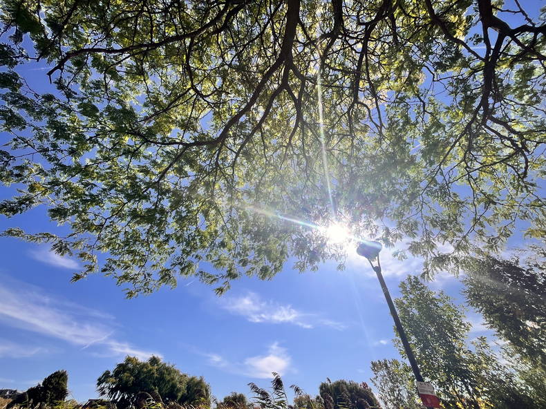 Toda La Casa Brossard 626308-1