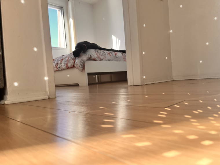 Casa Inteira Brossard 626308