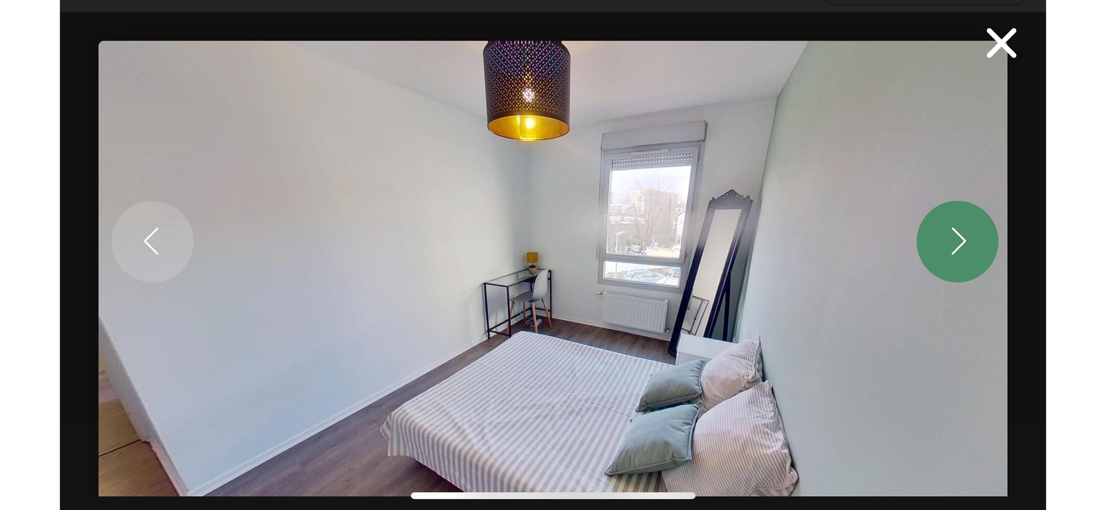 Colocation Lyon 513960