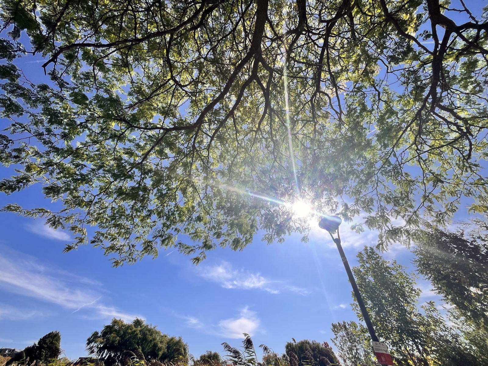 Entire Home Brossard 626308