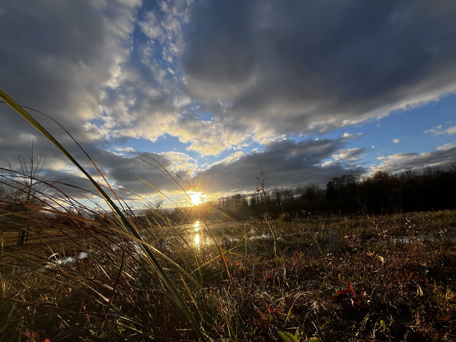 Entire Home Brossard 626308