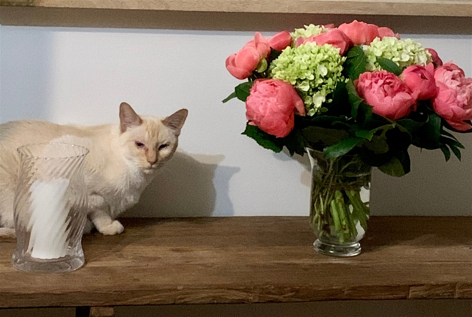 Chambre Chez L'habitant La Hulpe 44681