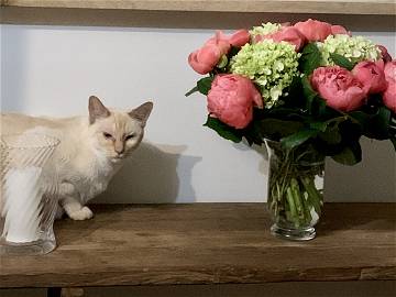 Chambre Chez L'habitant La Hulpe 44681-15