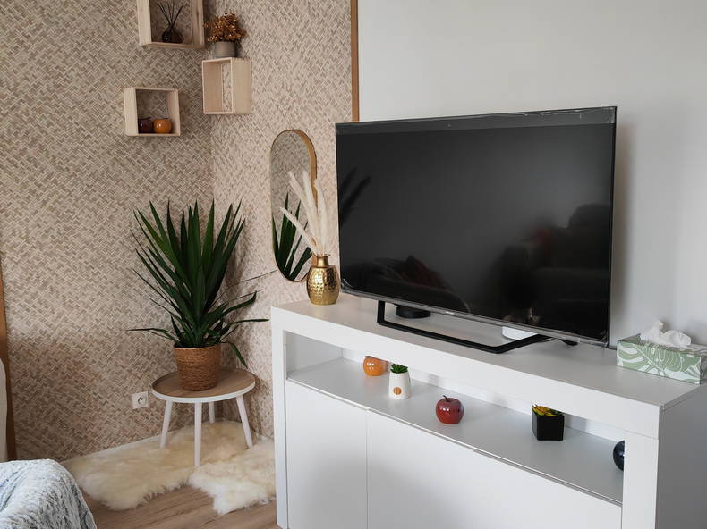 Homestay Corbeil-Essonnes 474828-1