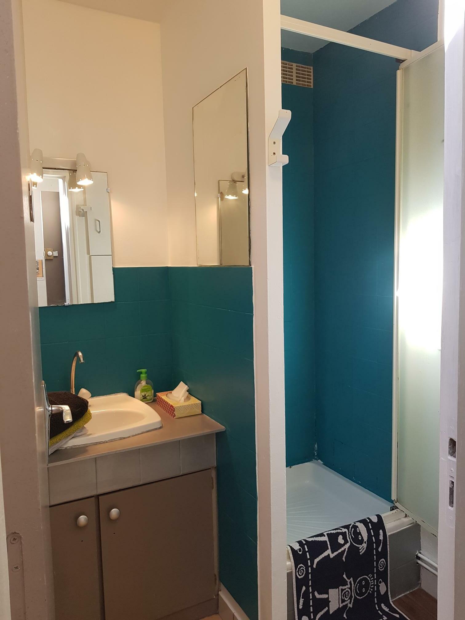 Colocation Nantes 233678